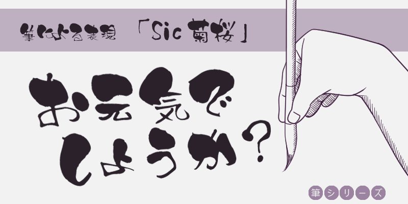 SicKikuzakura | Adobe Fonts