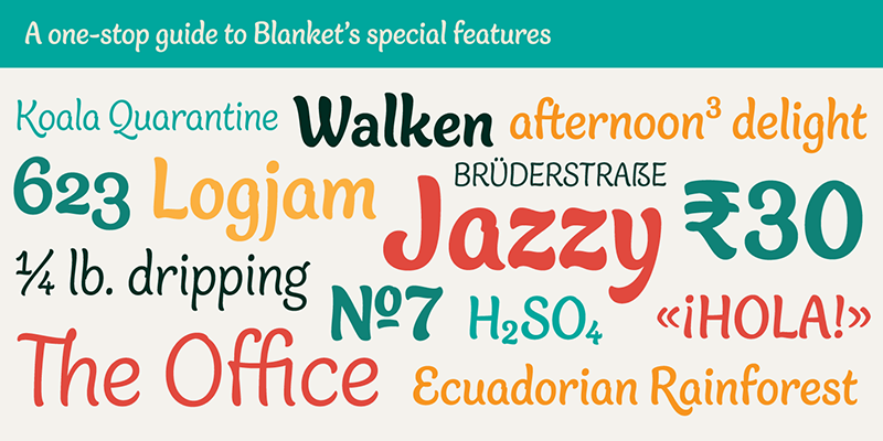 Card displaying Blanket typeface in various styles