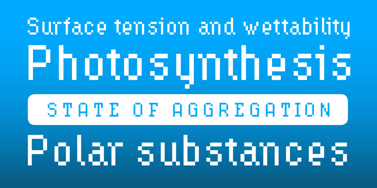 Card displaying Hydrophilia typeface in various styles