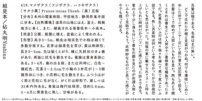 フランスのビンテージ看板文字KIDIMO 「DESIGN」 Nintendo Famicom Disk System logo - Fonts In Use