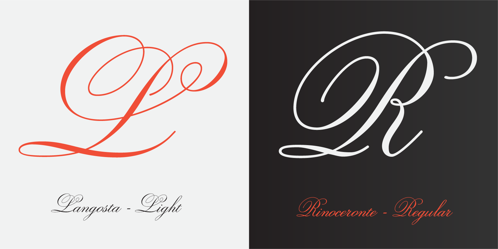 Card displaying Sweet Fancy Script typeface in various styles