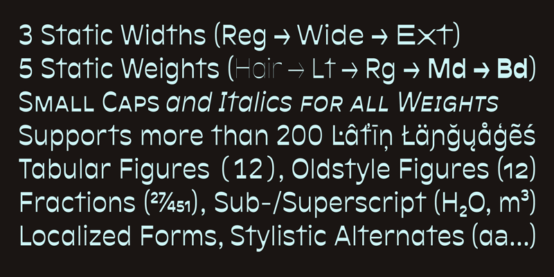 Card displaying Antipol Variable typeface in various styles