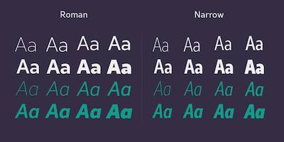 Card displaying Rival Sans typeface in various styles