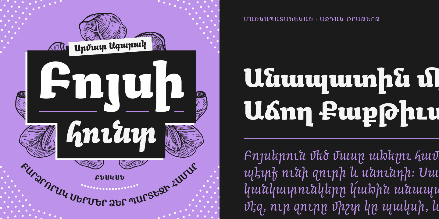 Card displaying Arek Armenian typeface in various styles