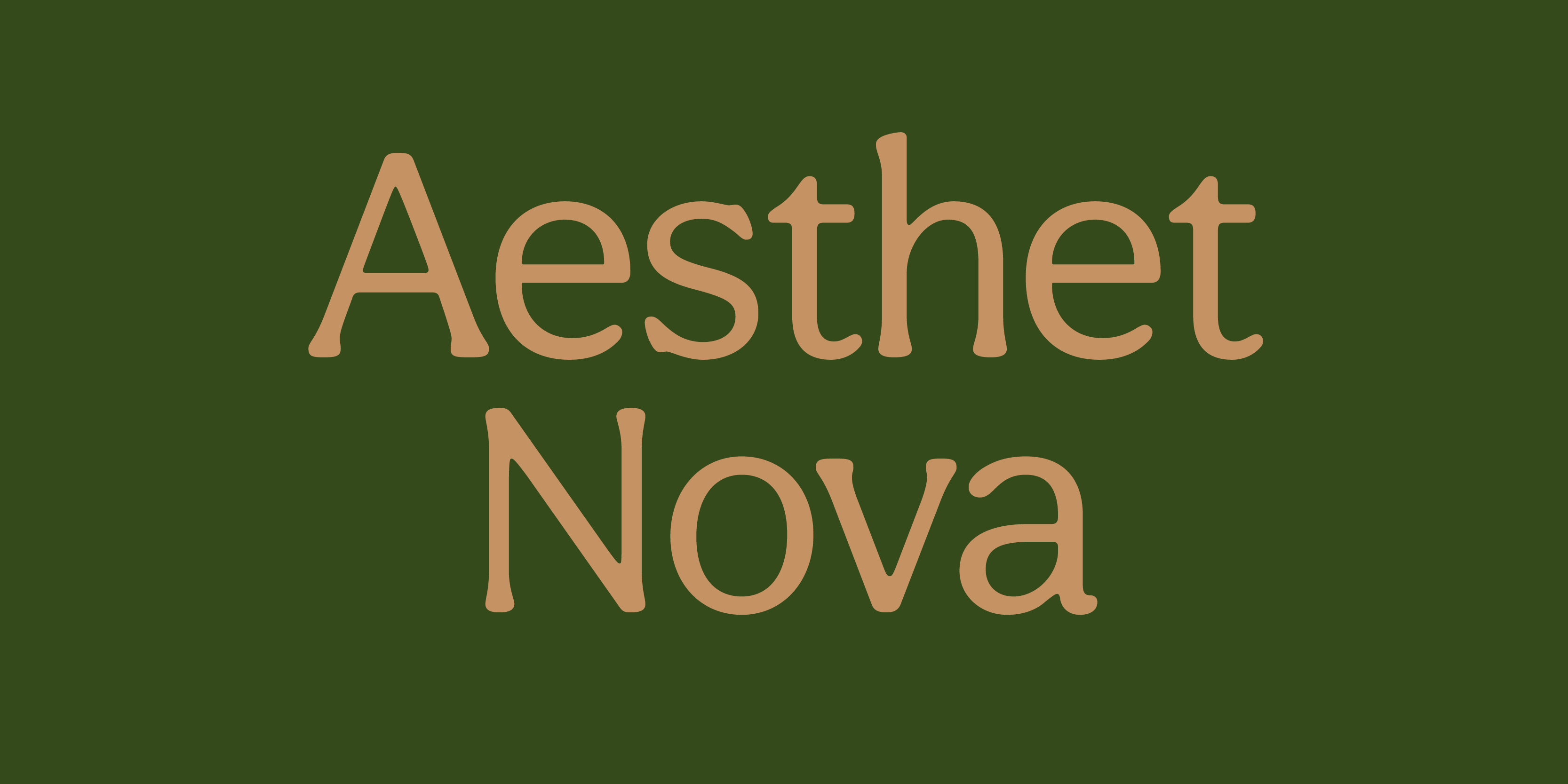 Card displaying Aesthet Nova typeface in various styles