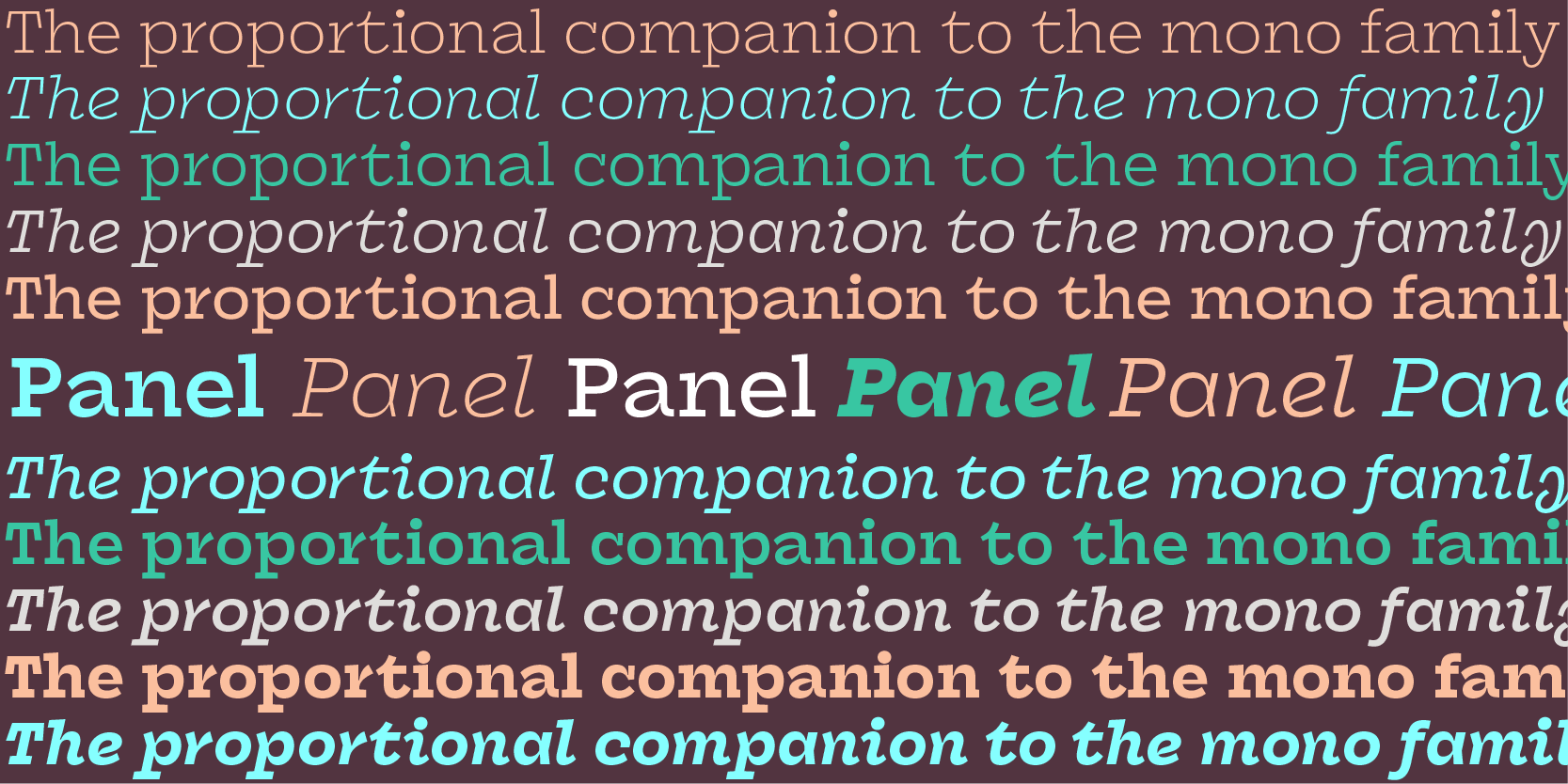 Card displaying Panel typeface in various styles