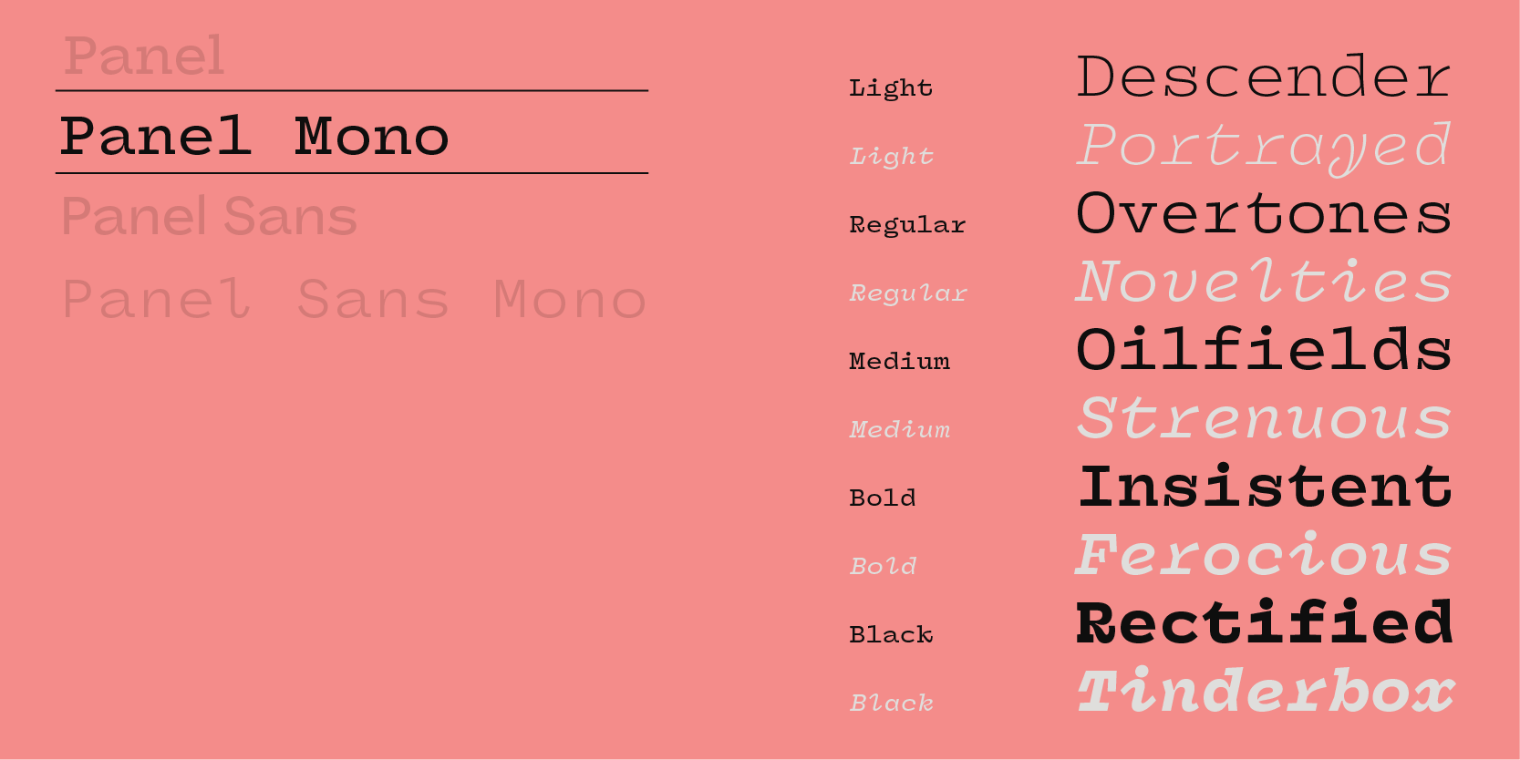 Card displaying Panel Mono typeface in various styles