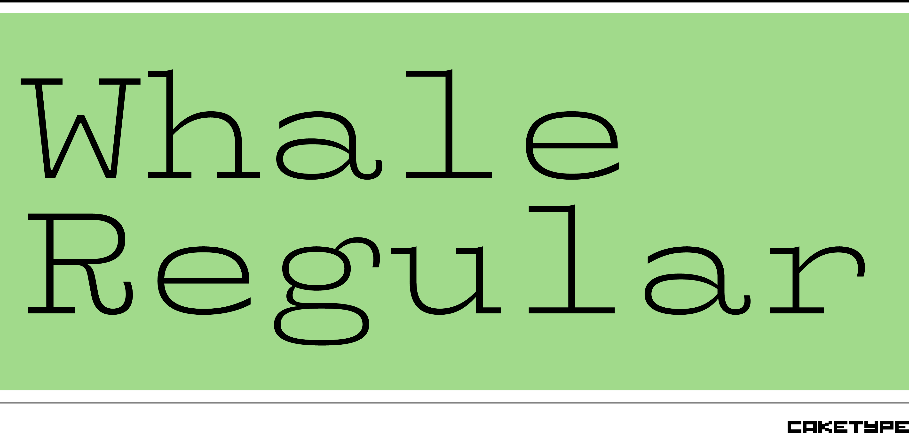 Card displaying Whale typeface in various styles