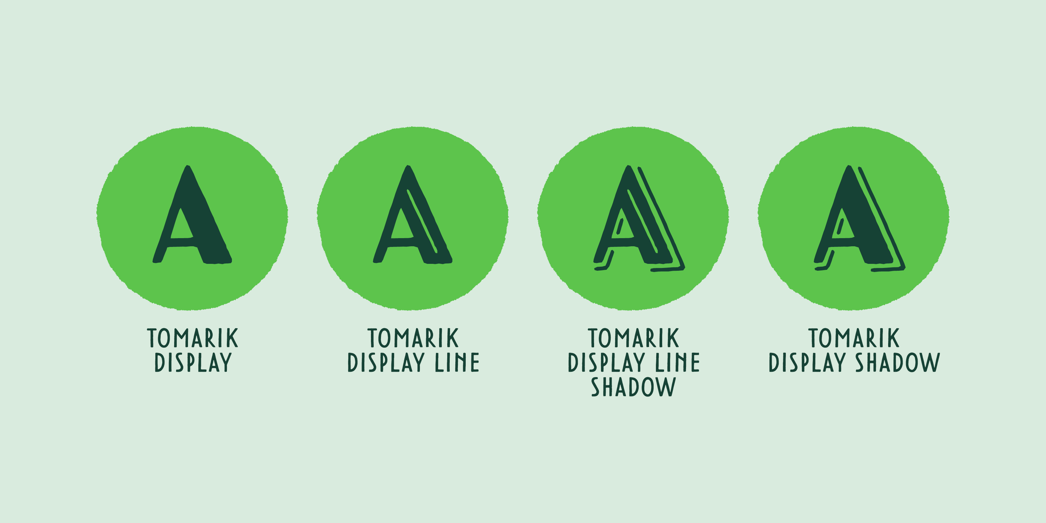 Card displaying Tomarik Display typeface in various styles