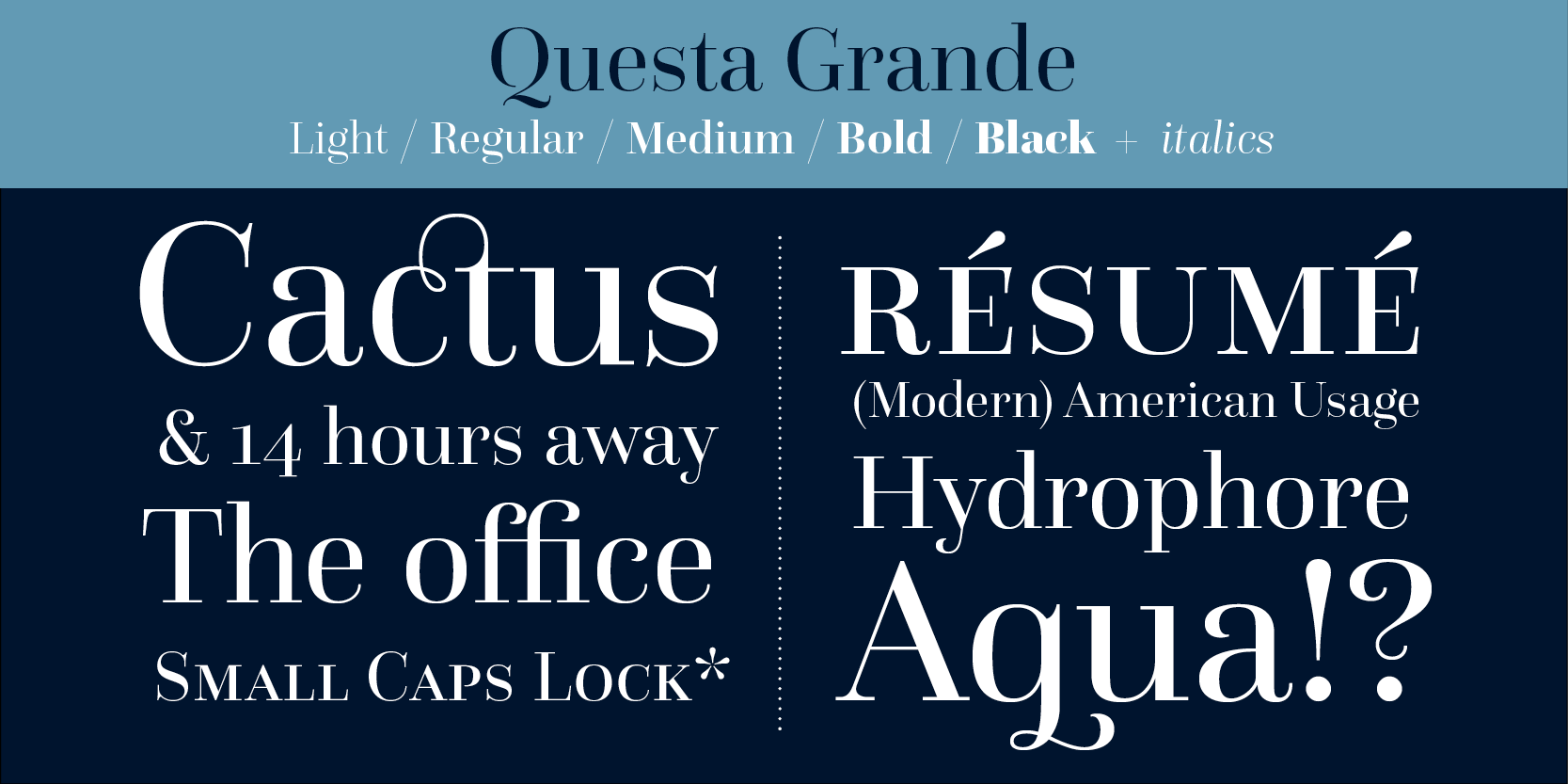Card displaying Questa Grande typeface in various styles