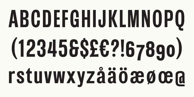 Card displaying Squeezed typeface in various styles