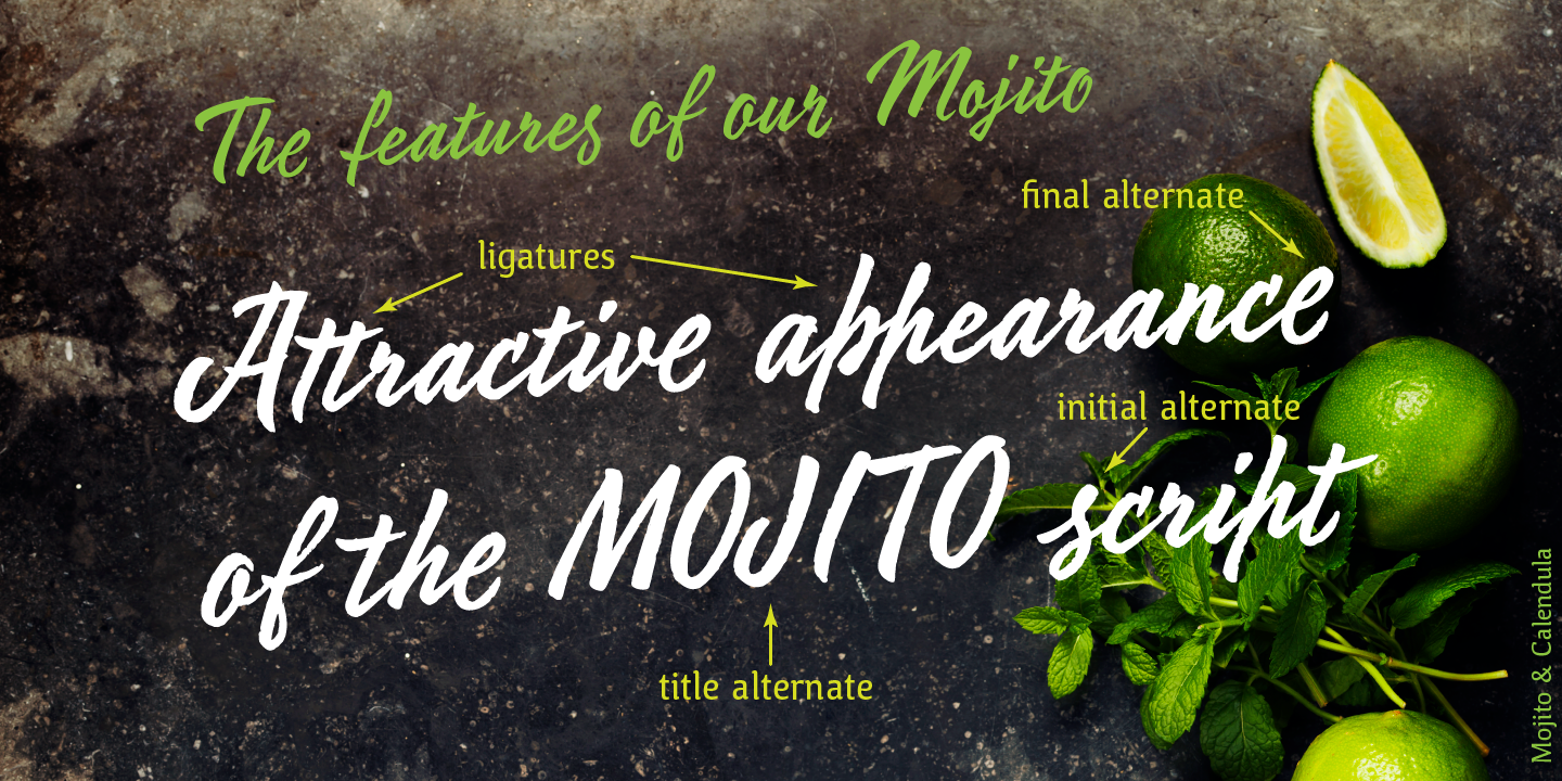 Card displaying Mojito typeface in various styles