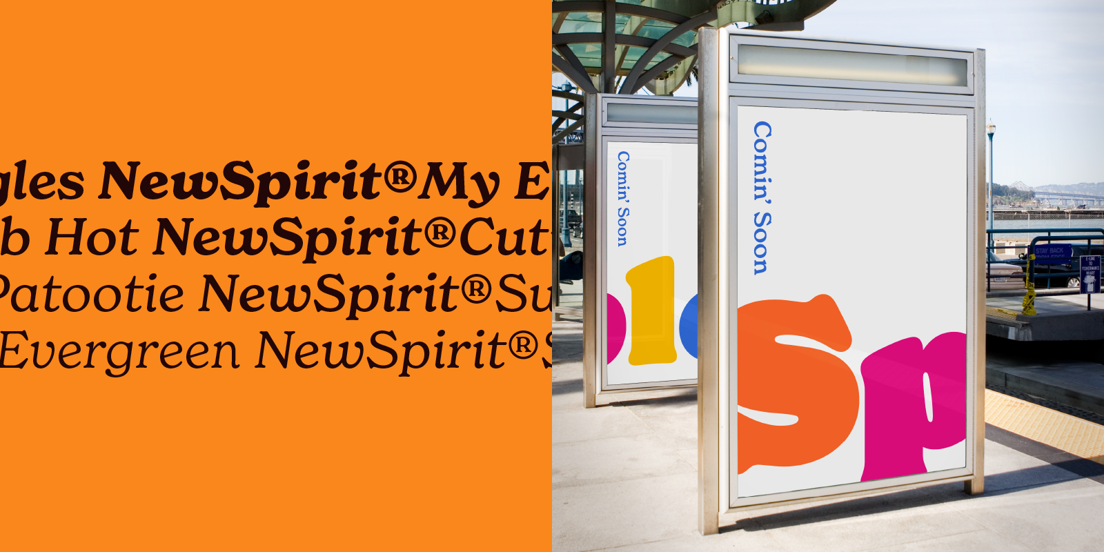 Card displaying New Spirit typeface in various styles