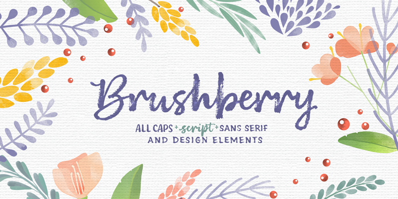 Card displaying Brushberry typeface in various styles