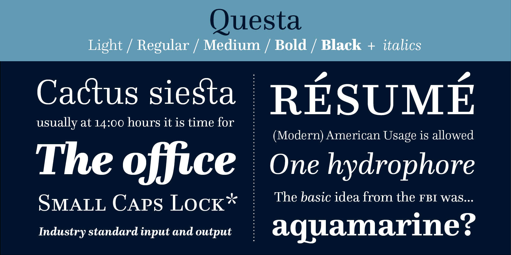 Card displaying Questa typeface in various styles