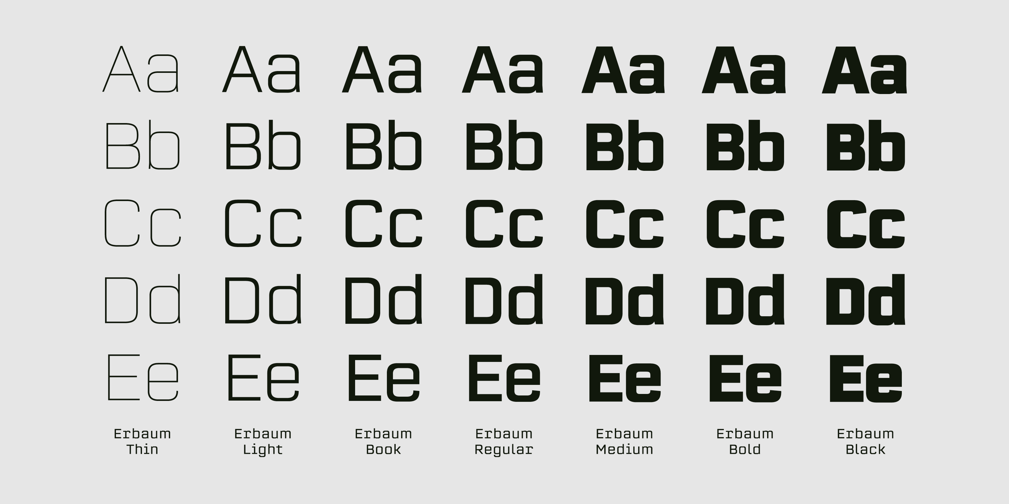 Card displaying Erbaum typeface in various styles